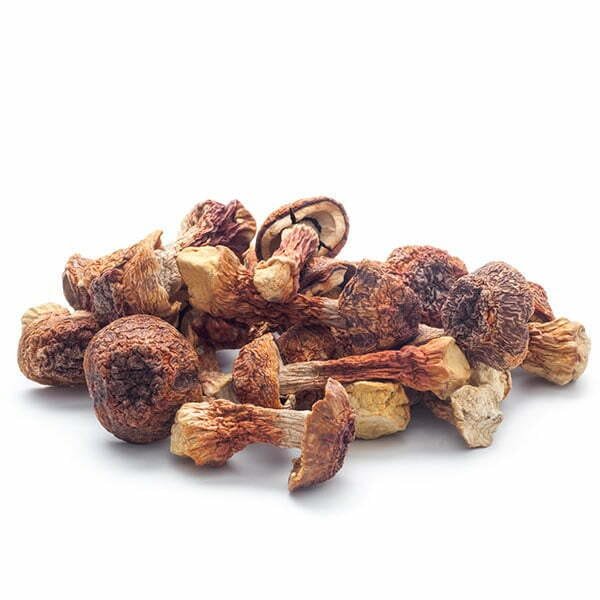 Buy Psilocybin In USA
