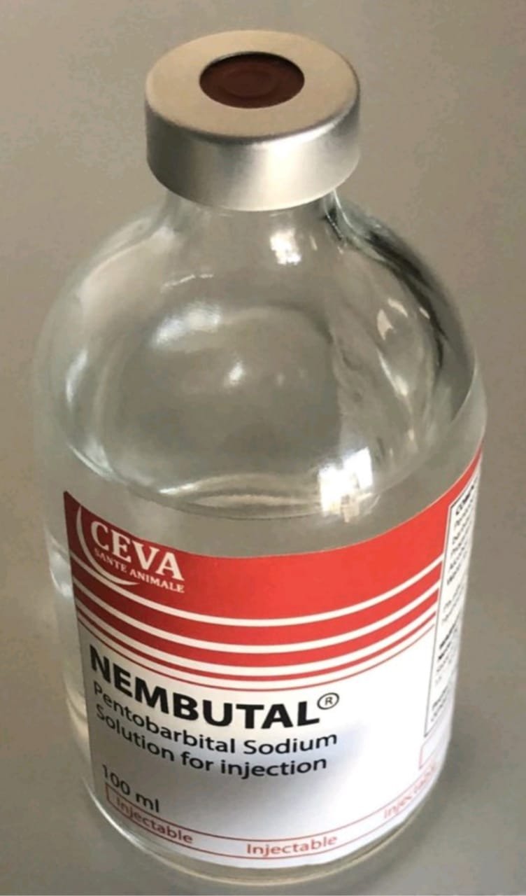 BUY MEMBUTAL IN USA FAST DELIVERY