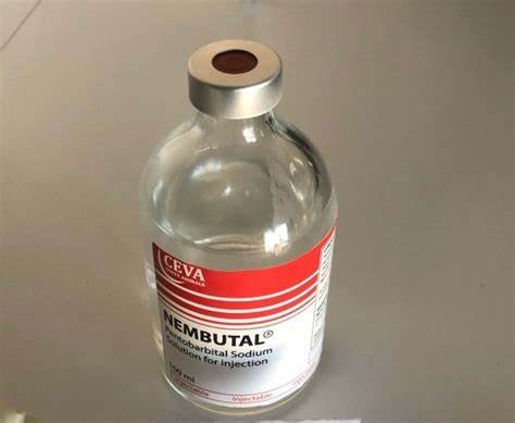 NEMBUTAL