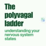 understanding your nervous system states